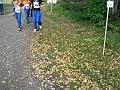 IMG_0280